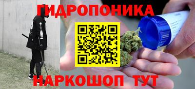 меф Кингисепп