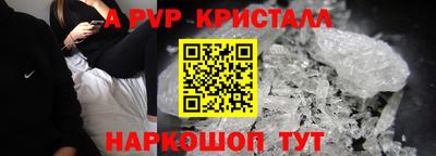 меф Кингисепп